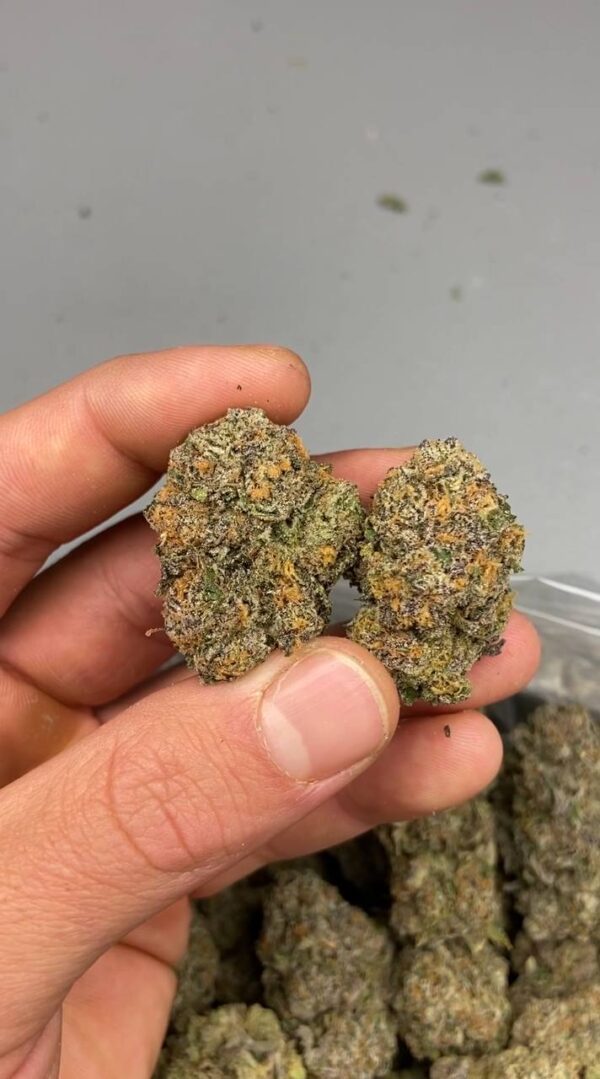 red velvet strain