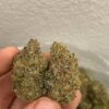 white guava