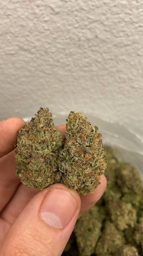 white guava