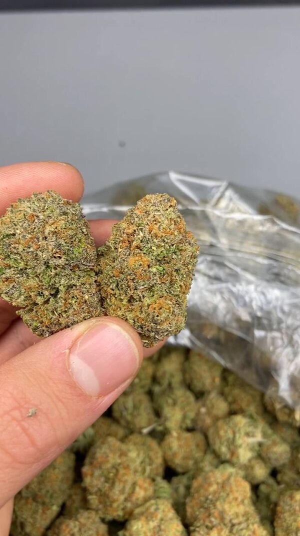 platinum bubba strain