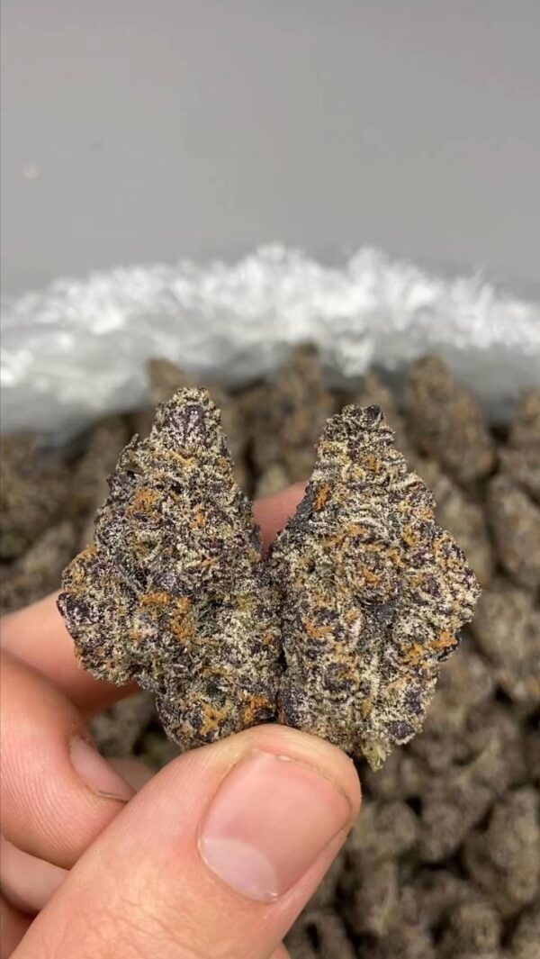 Pink cherry gelato