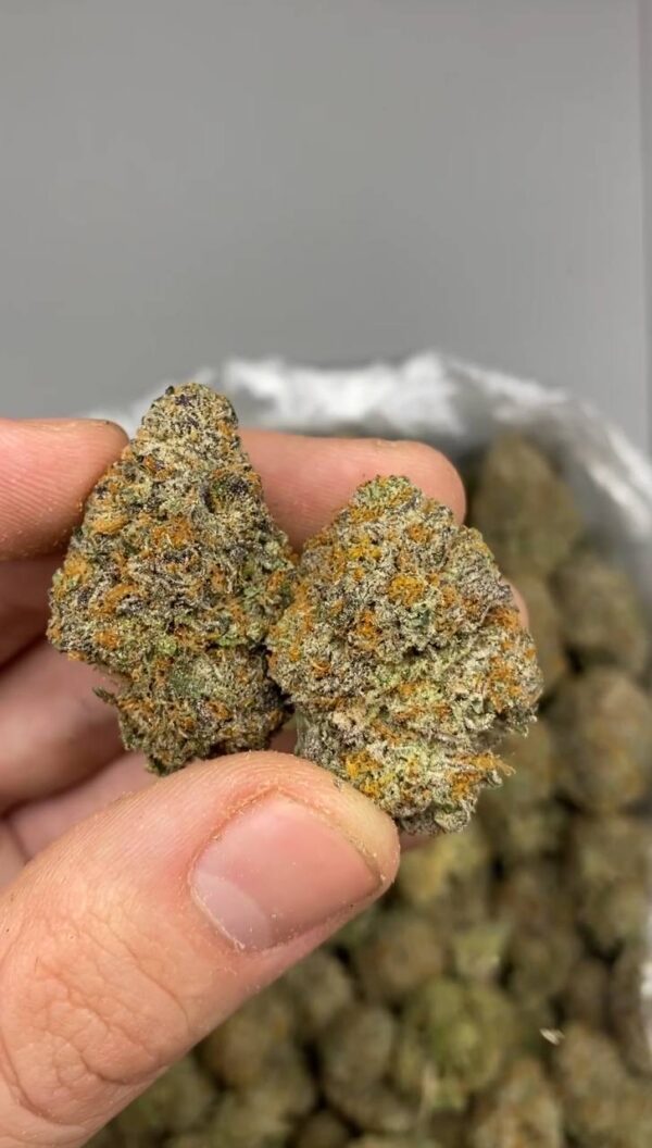 Gelato Cake