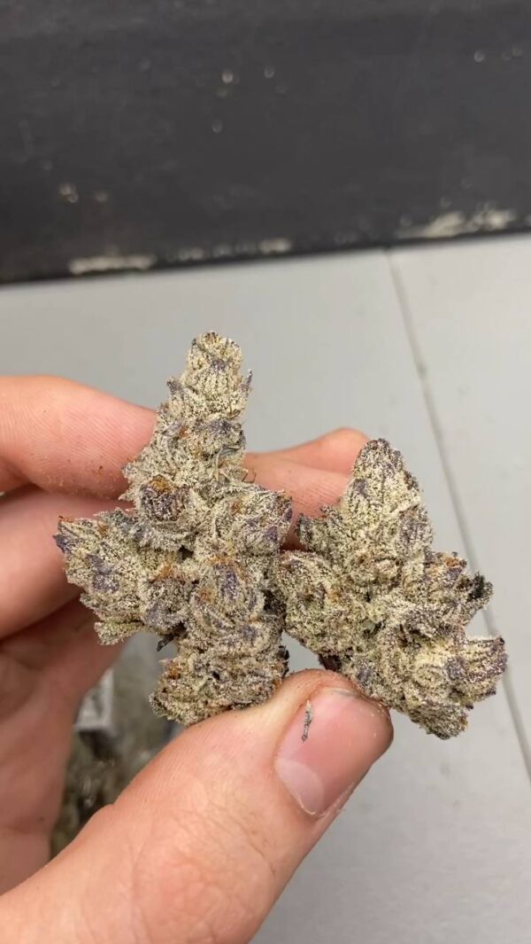 Snow cap runtz