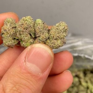 Gush Mints strain