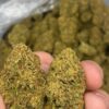 donny burger strain