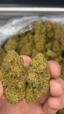 donny burger strain