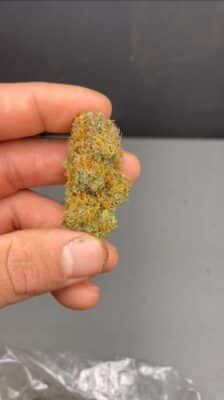 zkittlez strain